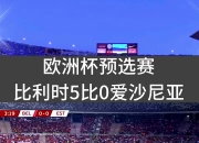 爱游戏足球官网-欧洲杯预选赛上演不可思议场面，赛果扣人心弦的简单介绍