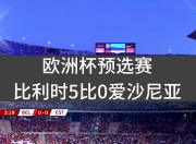 爱游戏足球官网-欧洲杯预选赛上演不可思议场面，赛果扣人心弦的简单介绍