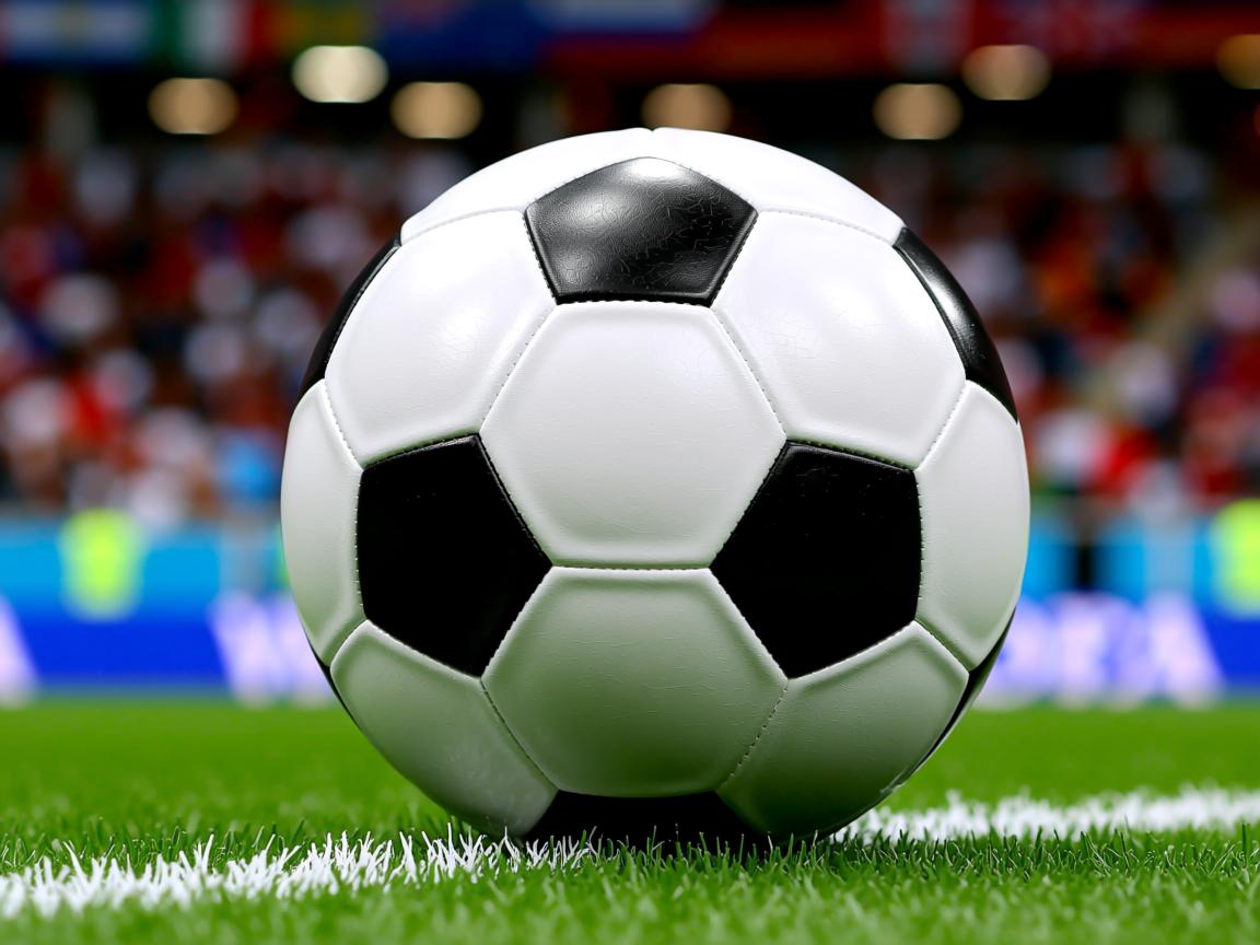 爱游戏体育在线-CBA多支球队强化教练团队,cba教练兼球员  第3张