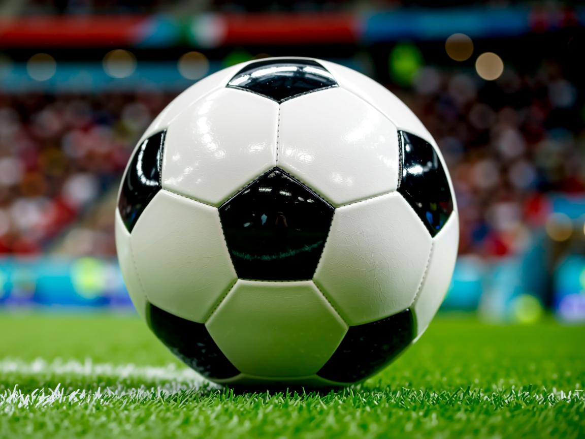 爱游戏app-体育名宿和篮球教练联手培训新生 第3张