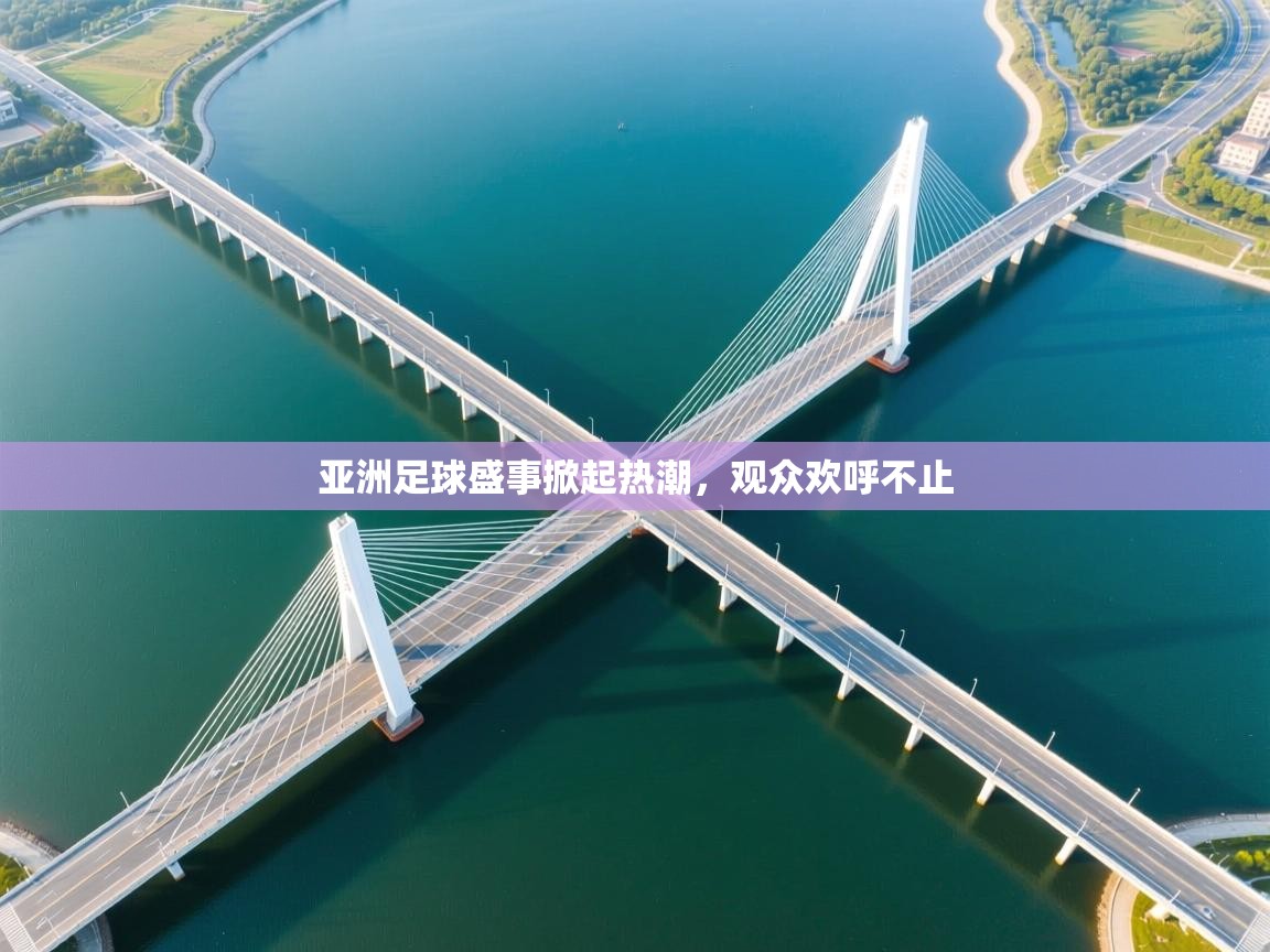 亚洲足球盛事掀起热潮,观众欢呼不止 第2张