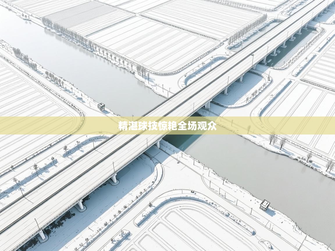 精湛球技惊艳全场观众  第2张